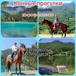 Лаванда