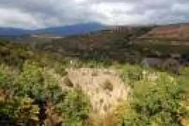 Лесопарк сатиры и юмора 